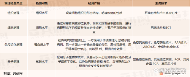 2022年中国病理诊断市场分析：市场规模达65.06亿元